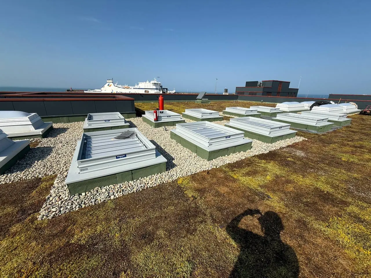 Green Roofing System — 2 of 8