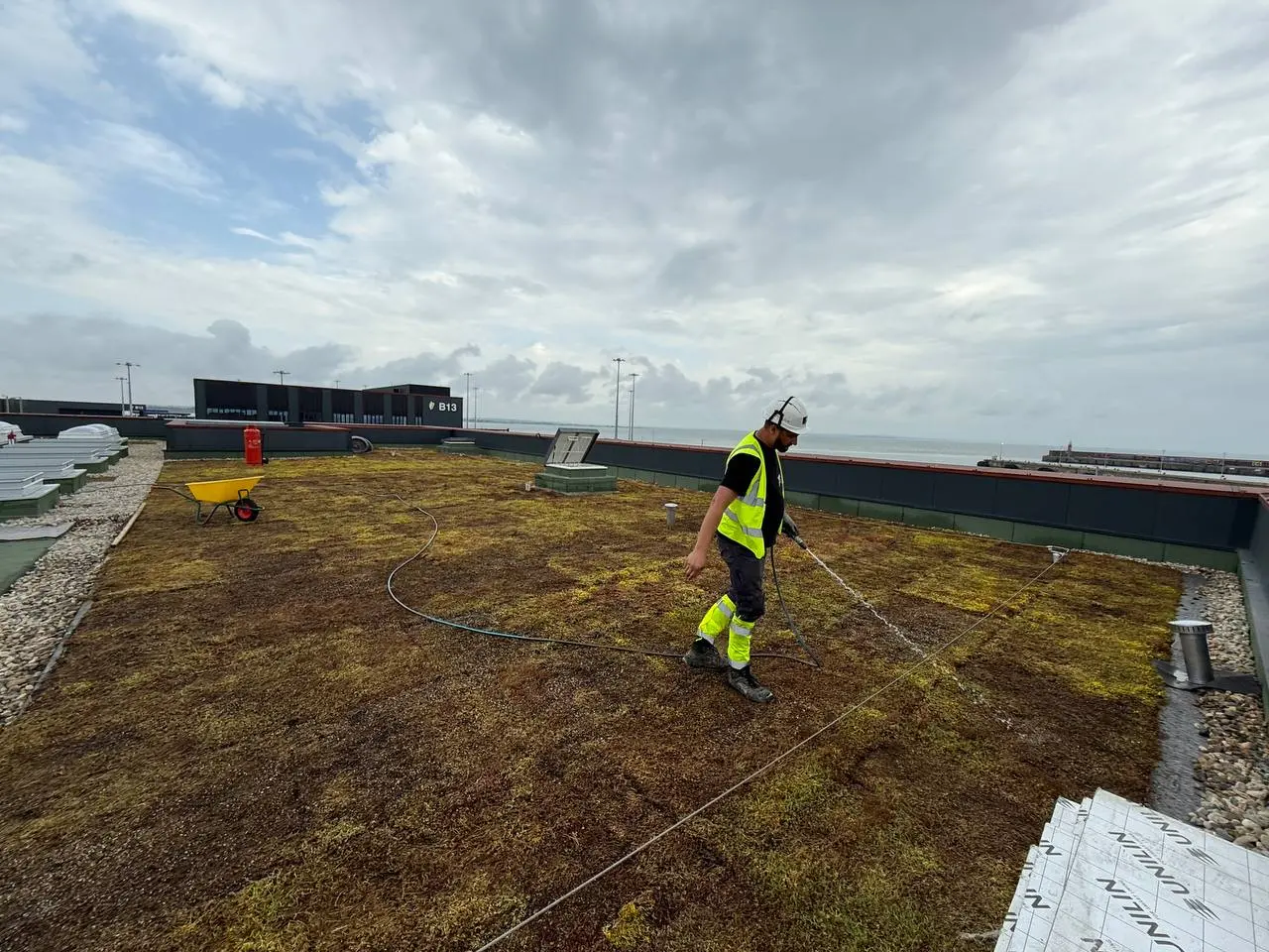 Green Roofing System