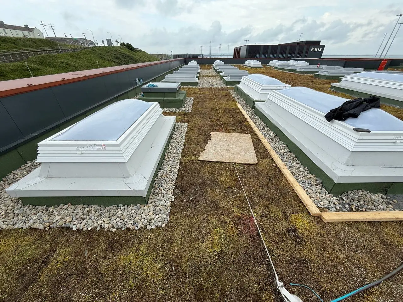 Green Roofing System — 3 of 8