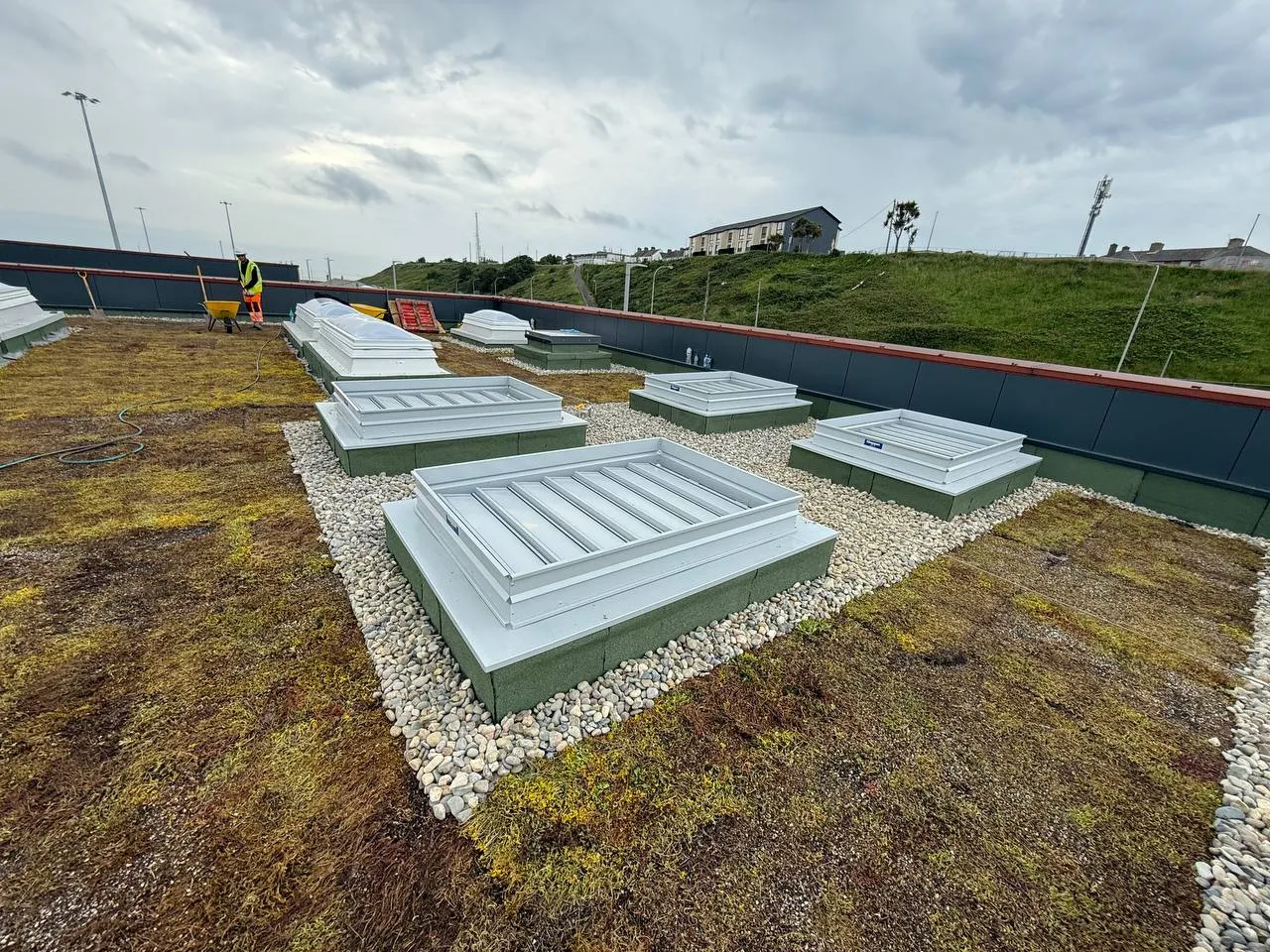 Green Roofing System — 4 of 8