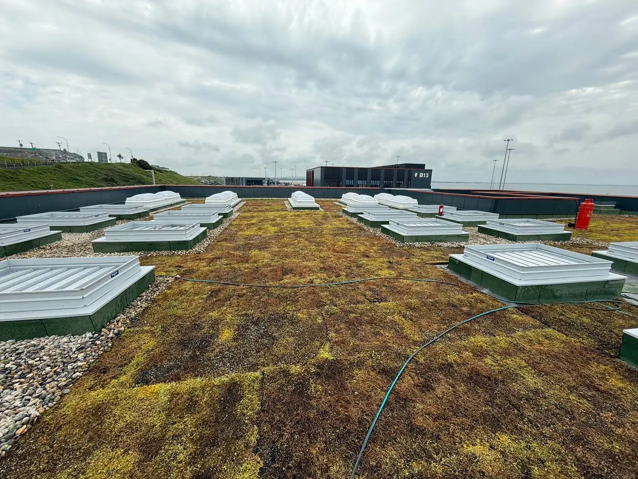 Green Roofing System — 5 of 8
